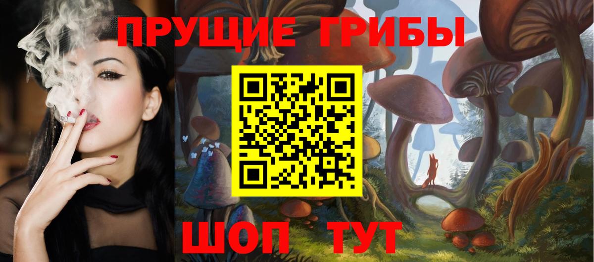 Галлюциногенные грибы GOLDEN TEACHER  цены наркотик  Ярцево  Вход с VPN  Галлюциногенные грибы Psilocybine cubensis 